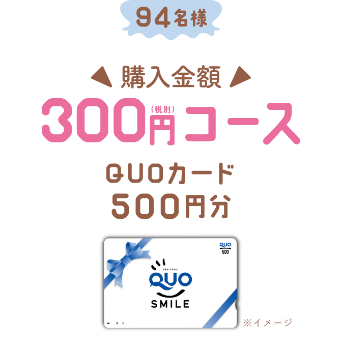 74名様 購入金額300円コース QUOカード500円分